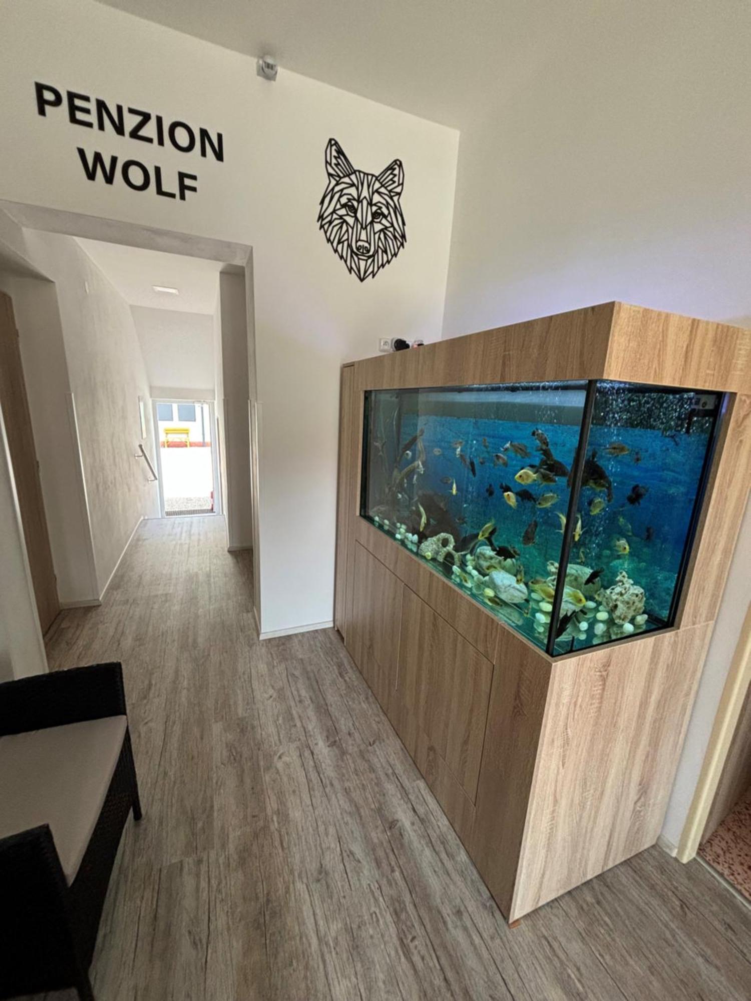 Penzion A Autokemp Wolf Česká Skalice 외부 사진